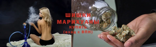 дурь Краснослободск