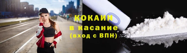 дурь Краснослободск