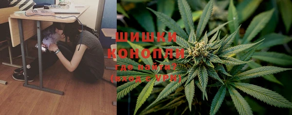 дурь Краснослободск