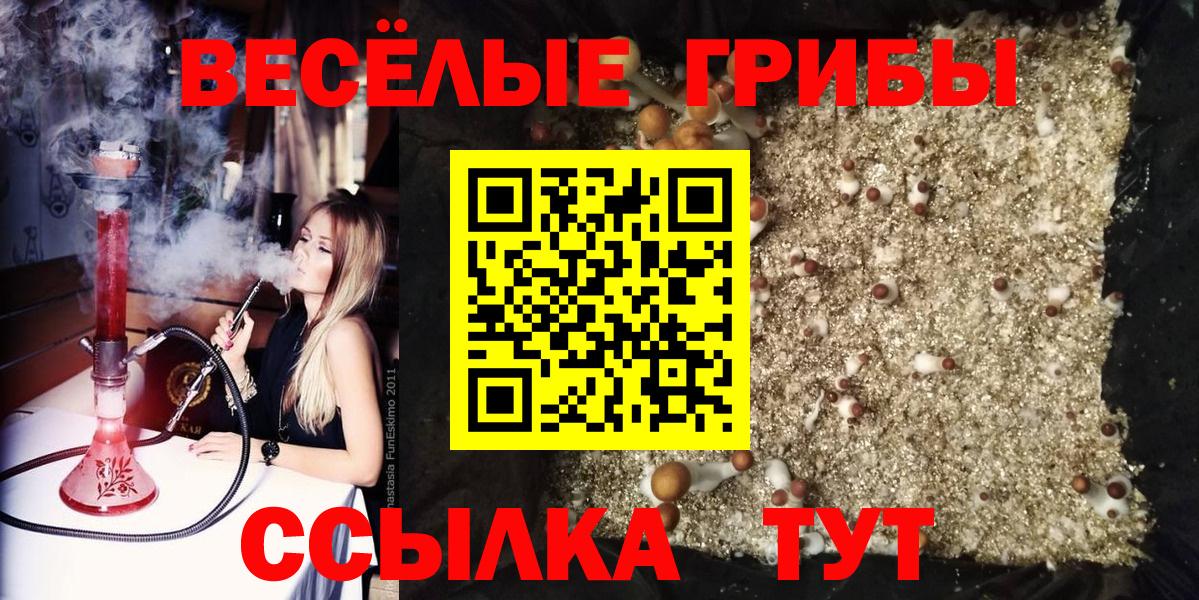 Галлюциногенные грибы Cubensis  Вход с VPN  Галлюциногенные грибы Psilocybine cubensis  Нурлат 
